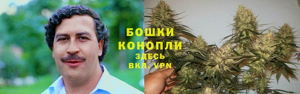 2c-b Алзамай