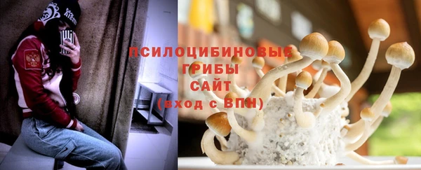 мескалин Алексин